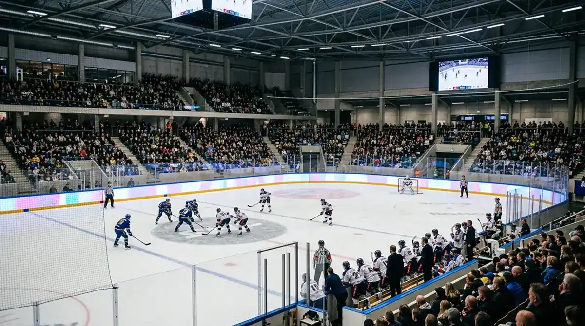 European pro hockey league arena during a regular-season SHL fixture